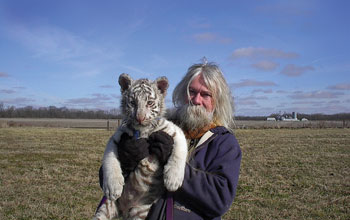 The Tiger Next Door
