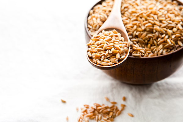 Aug13_ancient grains_01