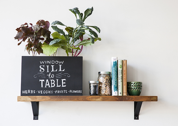 Modern Sprout Planter