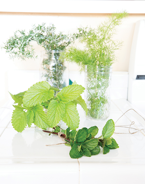 JA14_herbal living_feature