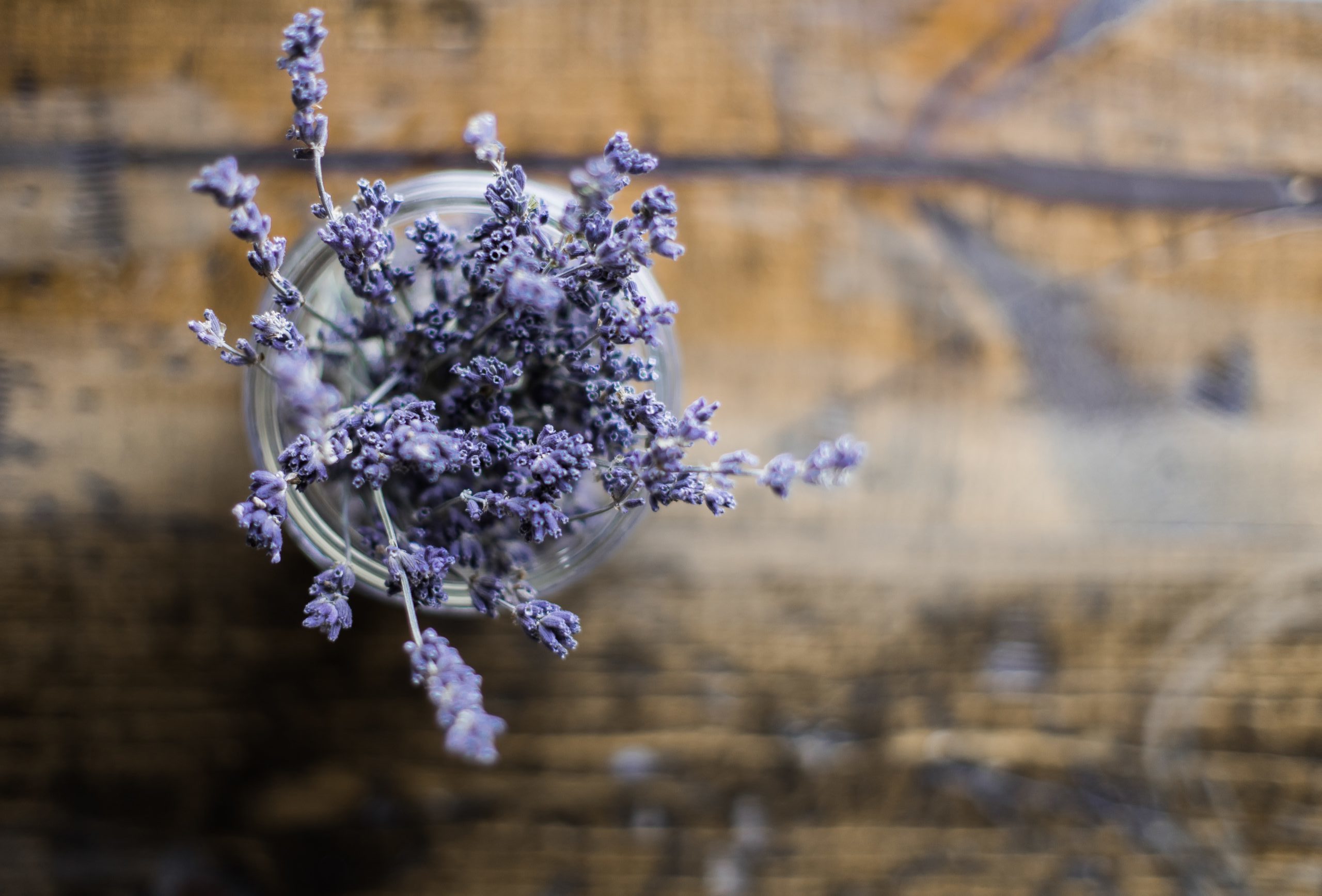 heather-ford-vhHXYVa5q-s-unsplash