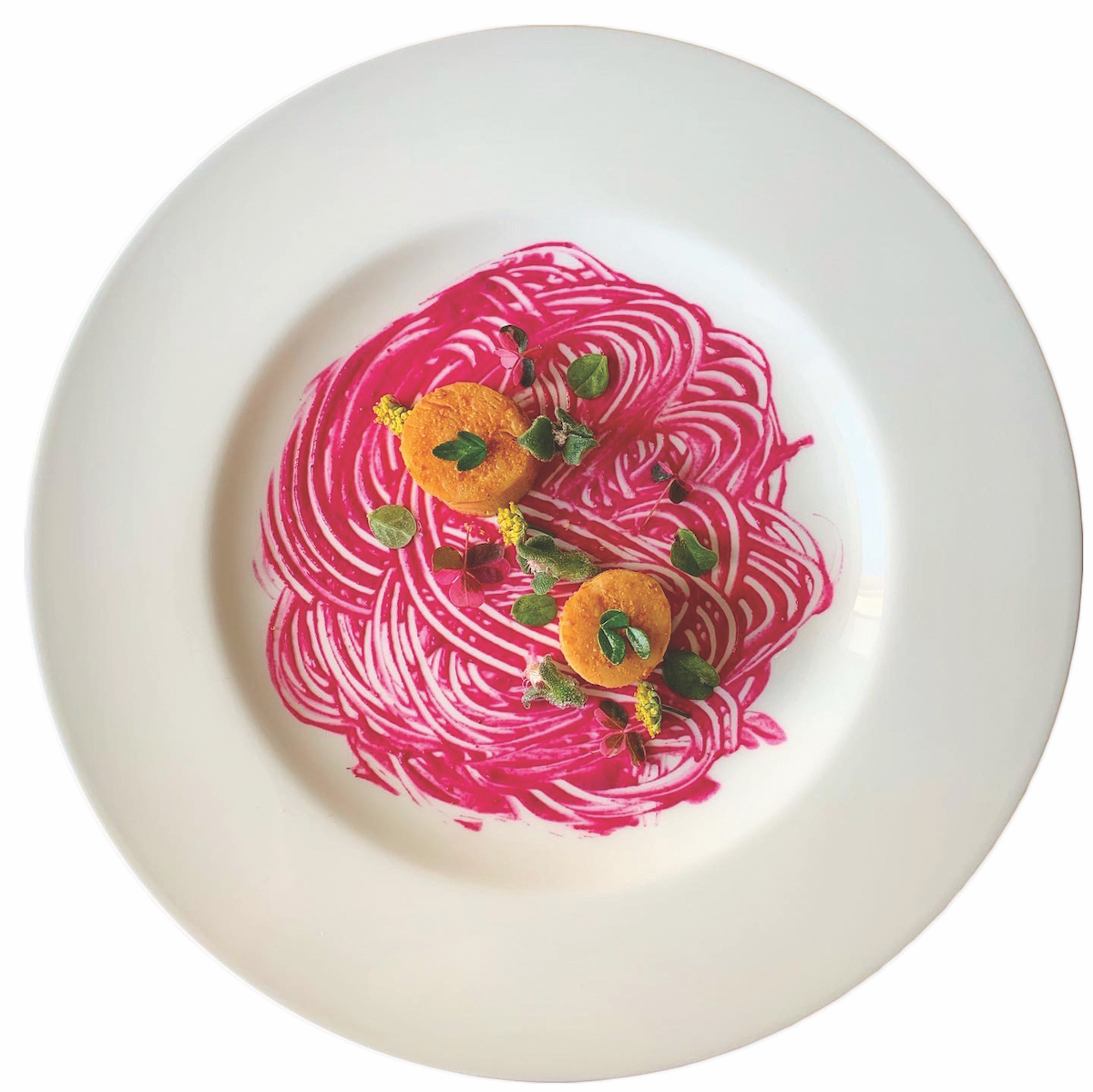 Cricket Hydrolysates, mushroom ceviche_ISOLATED