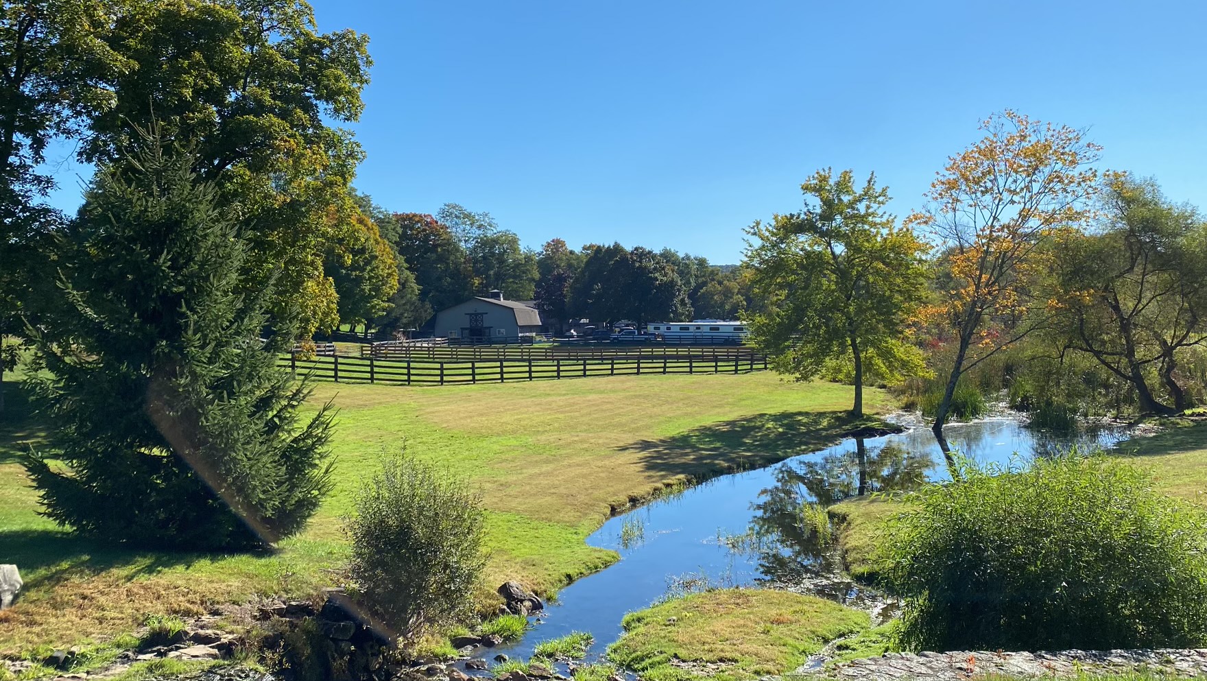 The Gentle Barn · Organic Spa Magazine