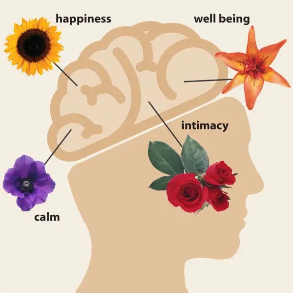 Flower Power·Organic Spa Magazine