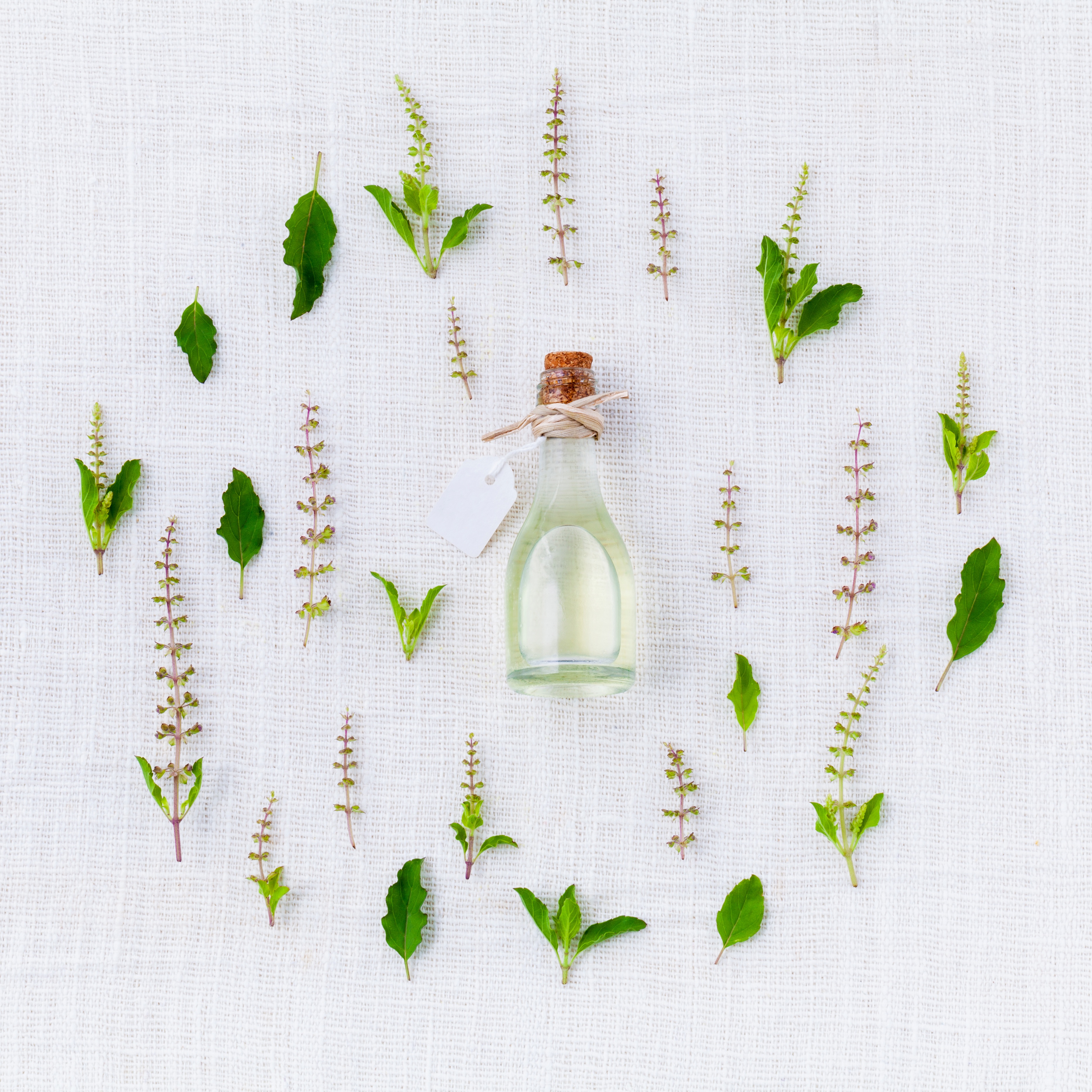 Aromatherapy 101: Everything You Need to Know - Organic Spa Magazine