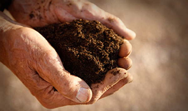 Why Biodynamic Agriculture Matters · Organic Spa Magazine