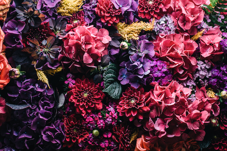 what you need to know about color therapy organic spa magazine