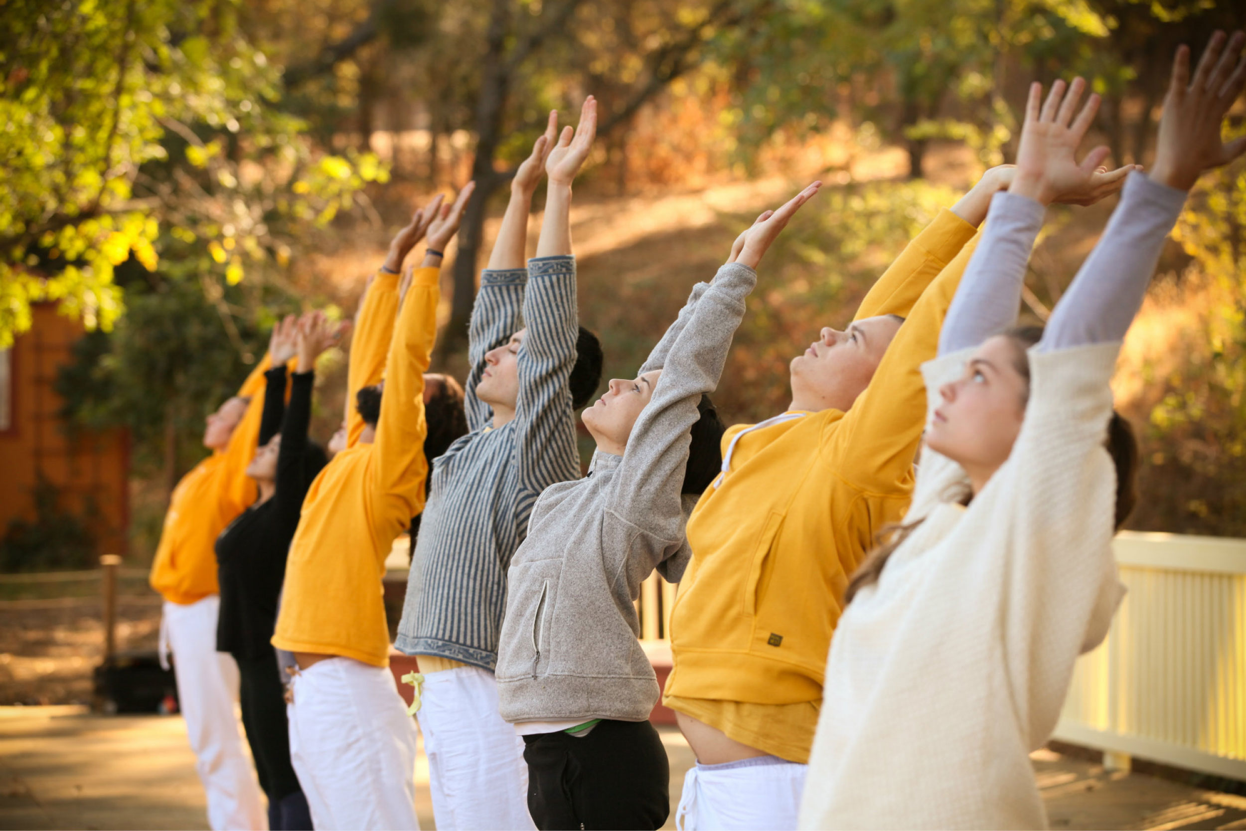 sivananda