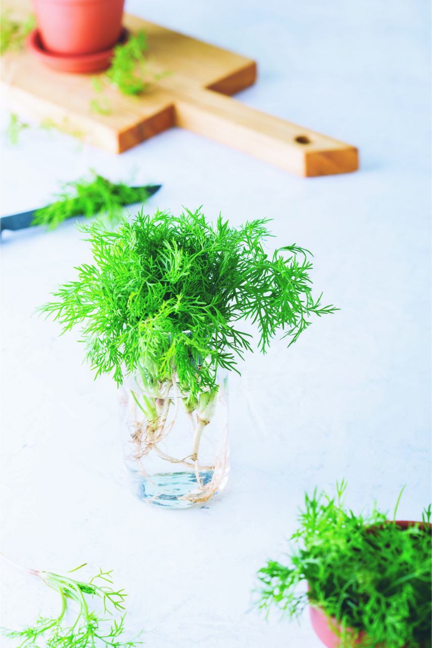 iStock-1152245991